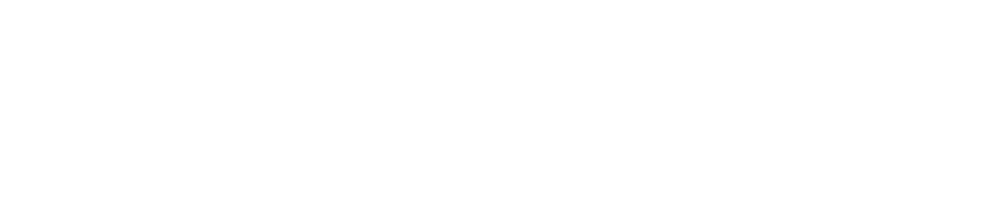 Reiya Group Logo White